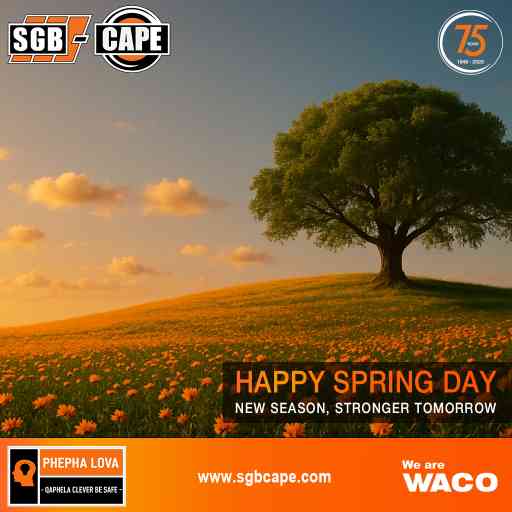 Spring Day